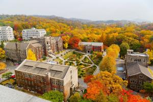 Birds-eye view of Yonsei university buildings surrounded by fall foliage
